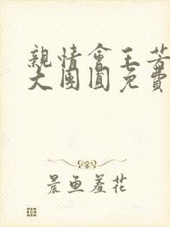 亲情会王芳高敏大团圆免费阅读封面