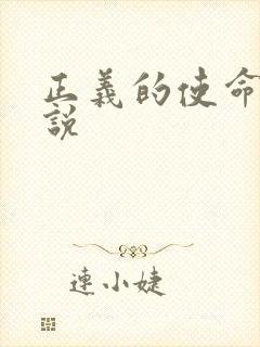 正义的使命 小说
