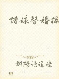 错嫁替婚总裁