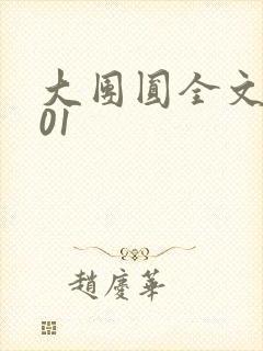 大团圆全文阅读01封面