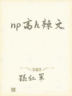 np高h辣文封面