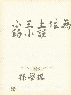 小三上位无三观的小说封面
