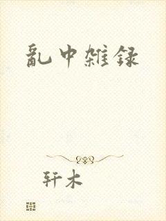 乱中杂录