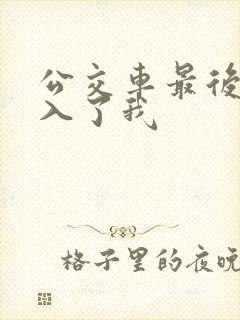 公交车最后一排入了我