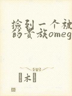 捡到一个被抹布的贵族omega封面