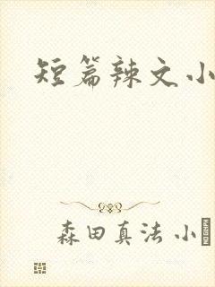 短篇辣文小说