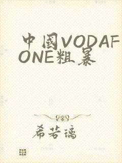 中国VODAFONE粗暴封面