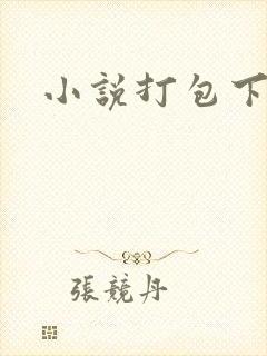 小说打包下载
