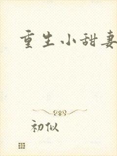 重生小甜妻封面