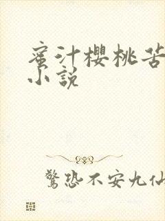 蜜汁樱桃苦咖啡小说