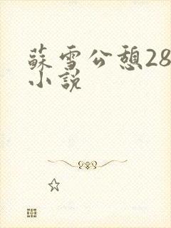 苏雪公憩28篇小说