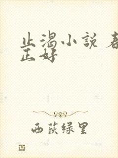 止渴小说 春光正好