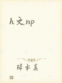h文np封面