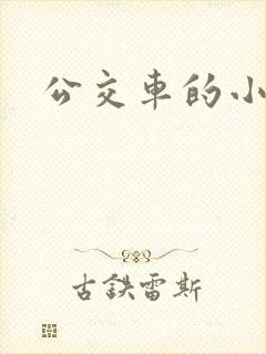公交车的小说