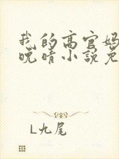 我的高官妈妈苏晚晴小说免费阅读