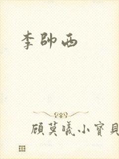 李帅西封面