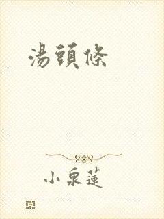 汤头条