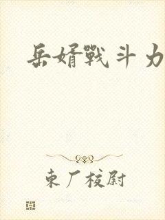 岳婿战斗力