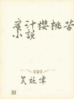 蜜汁樱桃苦咖啡小说封面