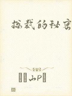 总裁的秘密情人