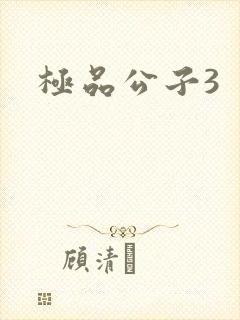 极品公子3