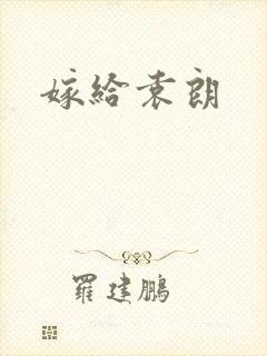 嫁给袁朗