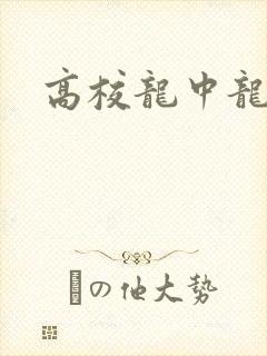 高校龙中龙