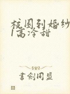 校园到婚纱1V1高冷甜