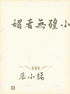 媚者无疆小说封面