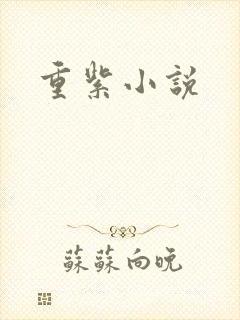 重紫小说封面