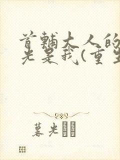 首辅大人的白月光是我(重生)