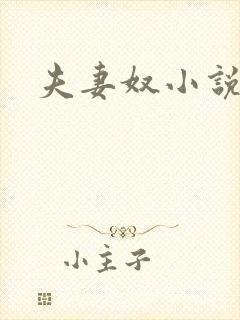 夫妻奴小说