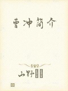曹冲简介