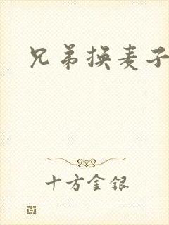 兄弟换麦子4