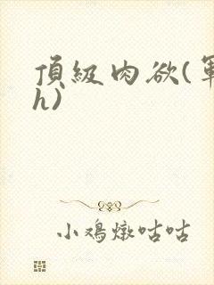 顶级肉欲(军高h)