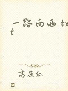 一路向西 txt封面