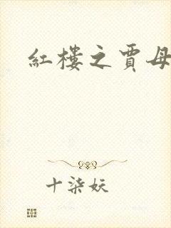 红楼之贾母封面
