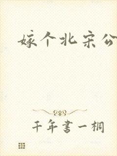 嫁个北宋公务员