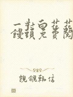一对白花花的大馒头免费阅读封面