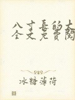 八寸长的大宝贝全文免费阅读