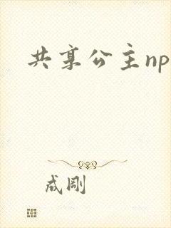 共享公主npc