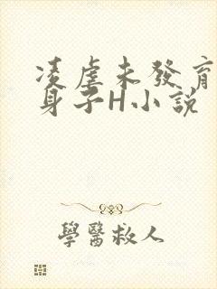 凌虐未发育的小身子H小说