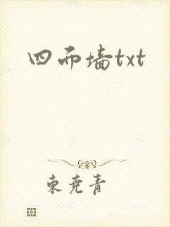 四面墙txt封面