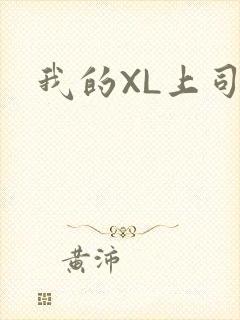 我的XL上司
