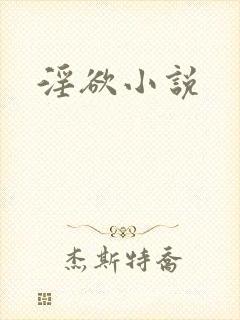 淫欲小说封面