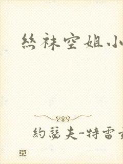 丝袜空姐小说