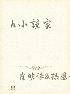 h小说家