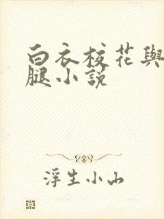 白衣校花与大长腿小说