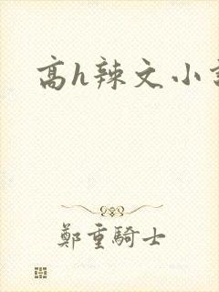 高h辣文小说封面