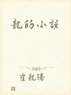 龙的小说
